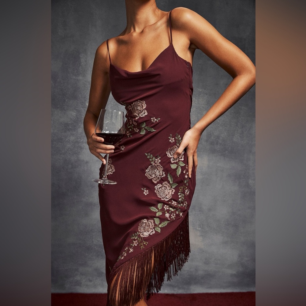 House of CB Eloisa Wine Embroidered MIDI Dress ; size XS ; tags ON never worn
